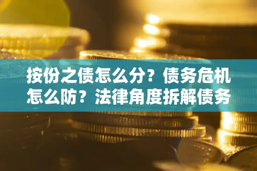 武汉按份之债怎么分？债务危机怎么防？法律角度拆解债务分配与风险自保指南