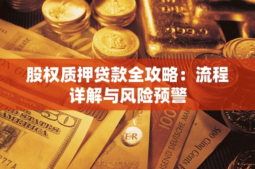 武汉股权质押贷款全攻略：流程详解与风险预警