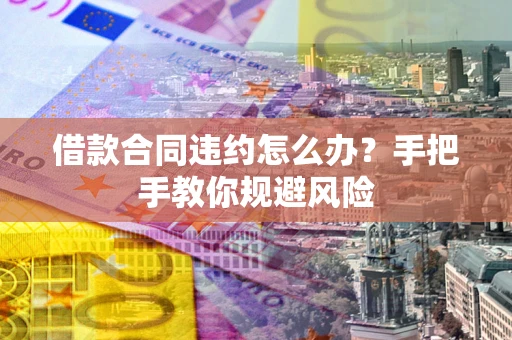 武汉借款合同违约怎么办？手把手教你规避风险