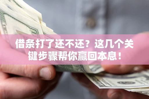 武汉借条打了还不还？这几个关键步骤帮你赢回本息！
