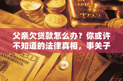 武汉父亲欠贷款怎么办？你或许不知道的法律真相，事关子女未来