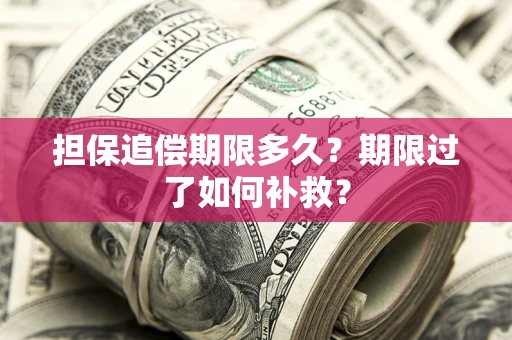 武汉担保追偿期限多久？期限过了如何补救？