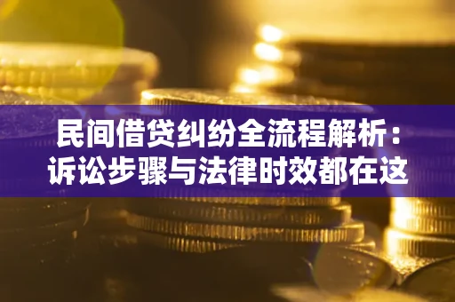 武汉民间借贷纠纷全流程解析：诉讼步骤与法律时效都在这儿了