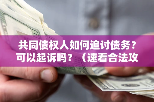 武汉共同债权人如何追讨债务？可以起诉吗？（速看合法攻略）