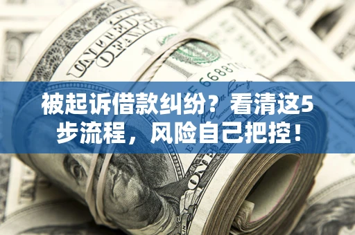 武汉被起诉借款纠纷？看清这5步流程，风险自己把控！