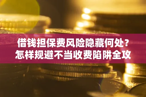 武汉借钱担保费风险隐藏何处？怎样规避不当收费陷阱全攻略！